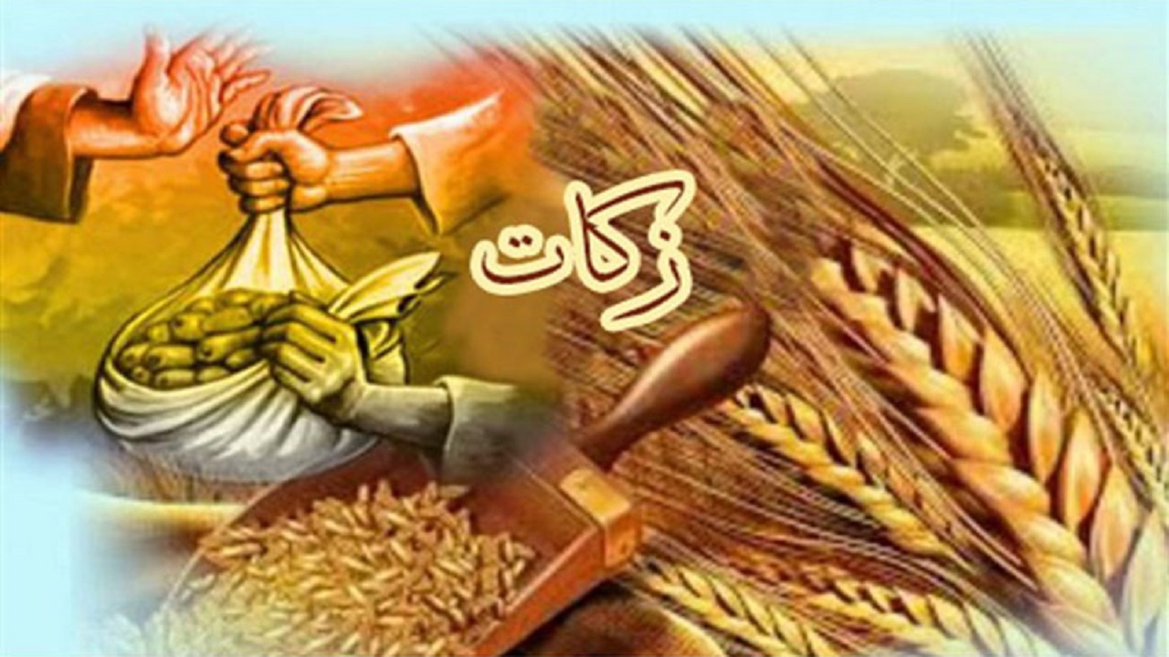 فرهنگ پرداخت زکات باید در جامعه ترویج شود