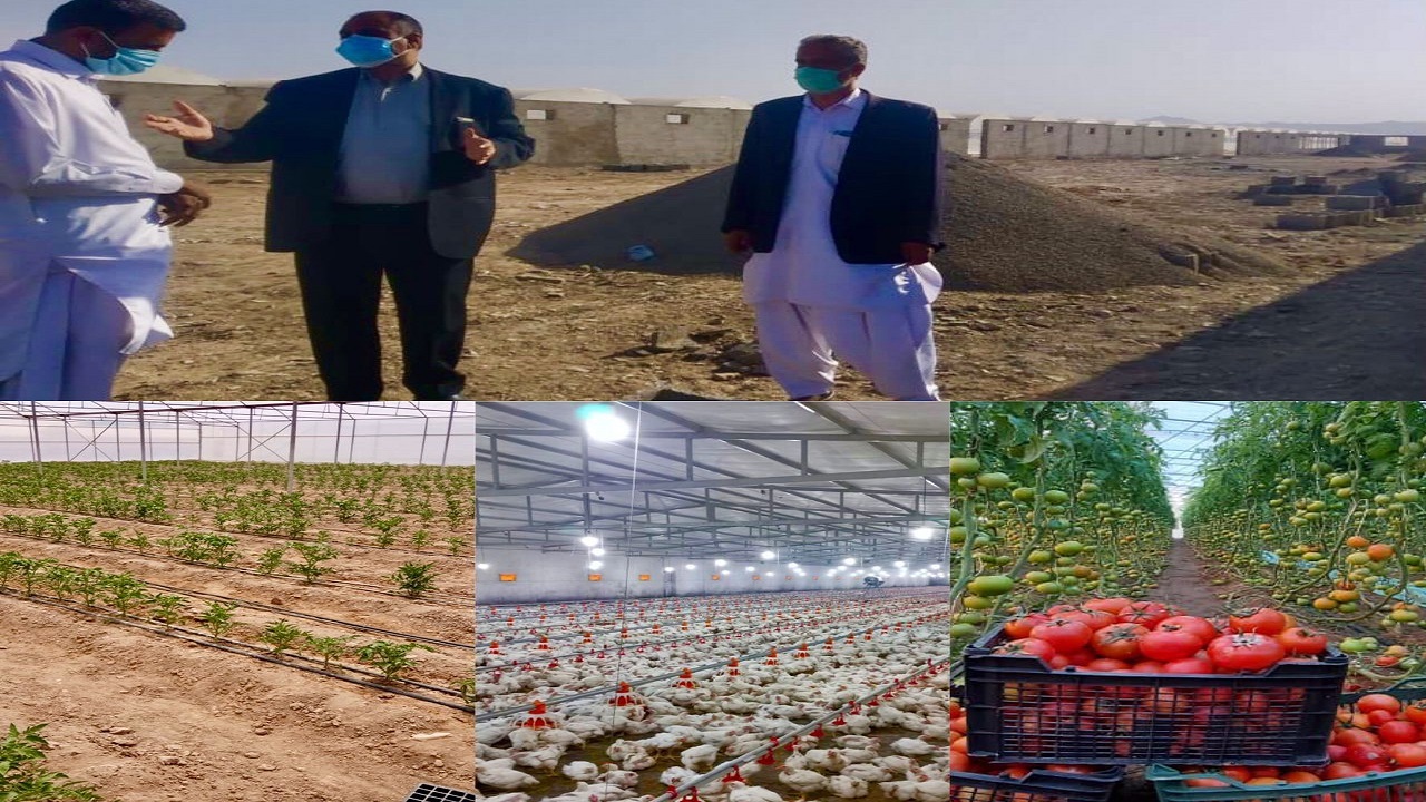 توسعه بخش کشاورزی سیب و سوران با شتاب دنبال می‌شود