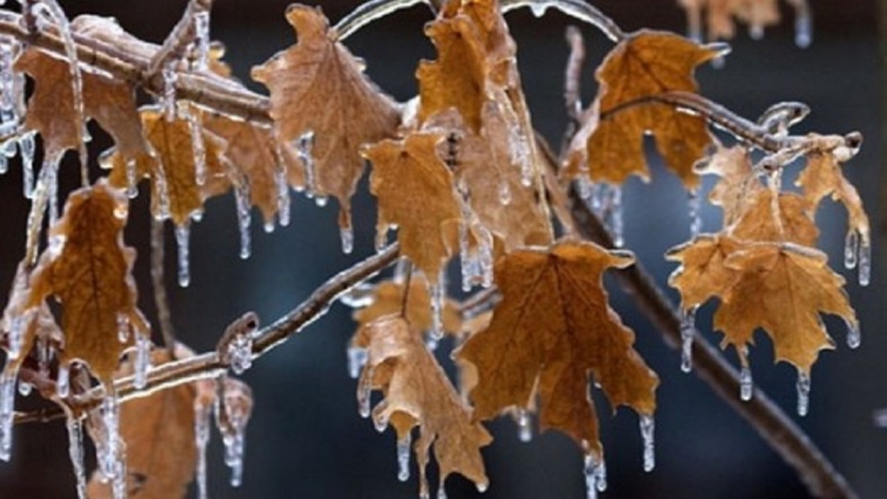 سرما و یخبندان شبانه میهمان مناطق سردسیری خراسان جنوبی