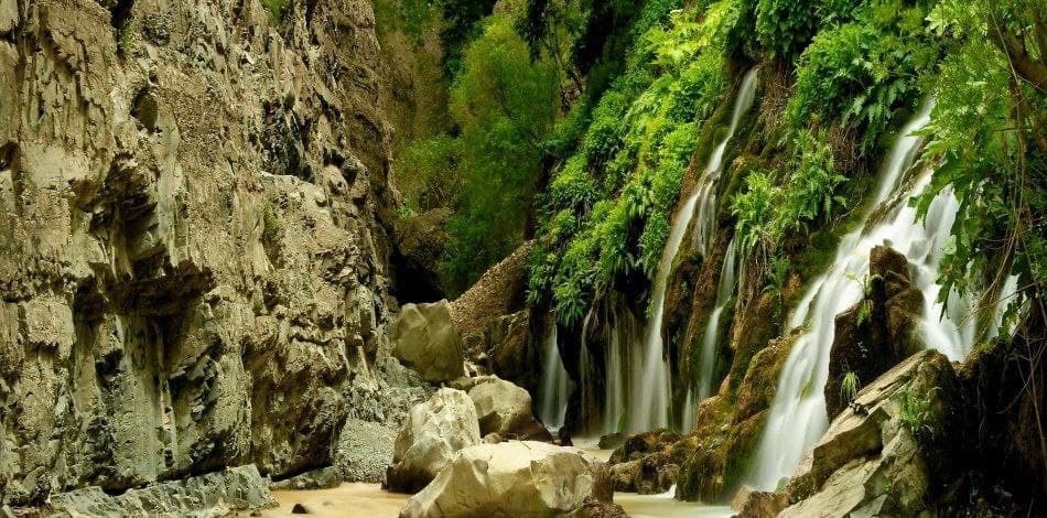 از آبشاری با هفت چشمه تا چای و آویشن کوهی در آدران/ گشت و گذاری در رویایی ترین جاده ایران