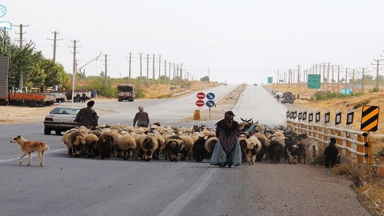 عشایر باقی مانده در ییلاق به قشلاق کوچ کنند