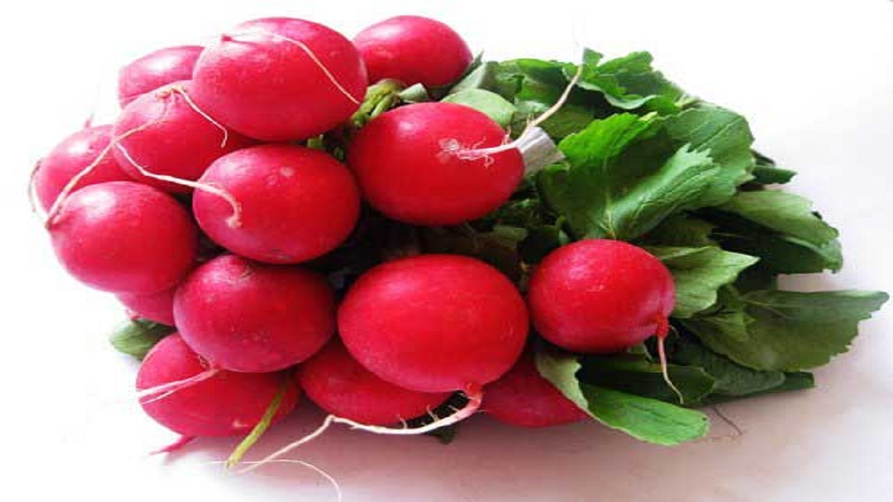 فواید بی نظیر روغن تربچه؛ از رفع چین و چروک پوست تا پیشگیری از سرطان