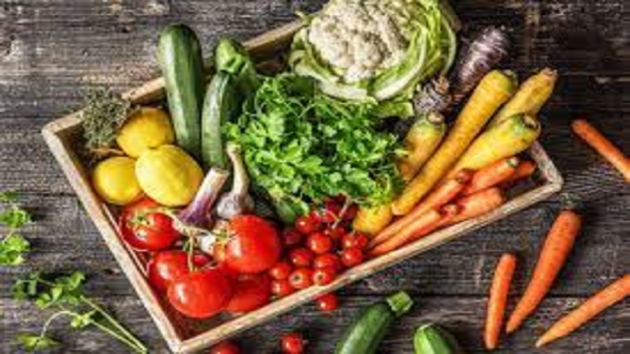 رژیم غذایی رژیم غذایی