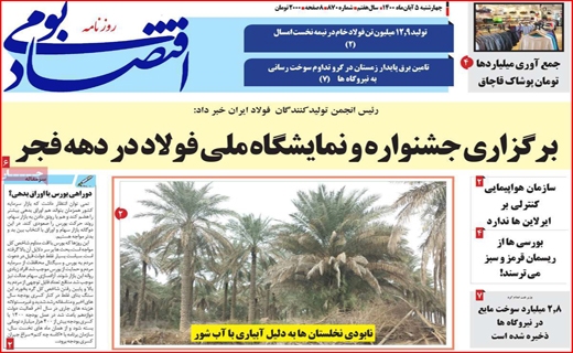 اقتصاد بومی