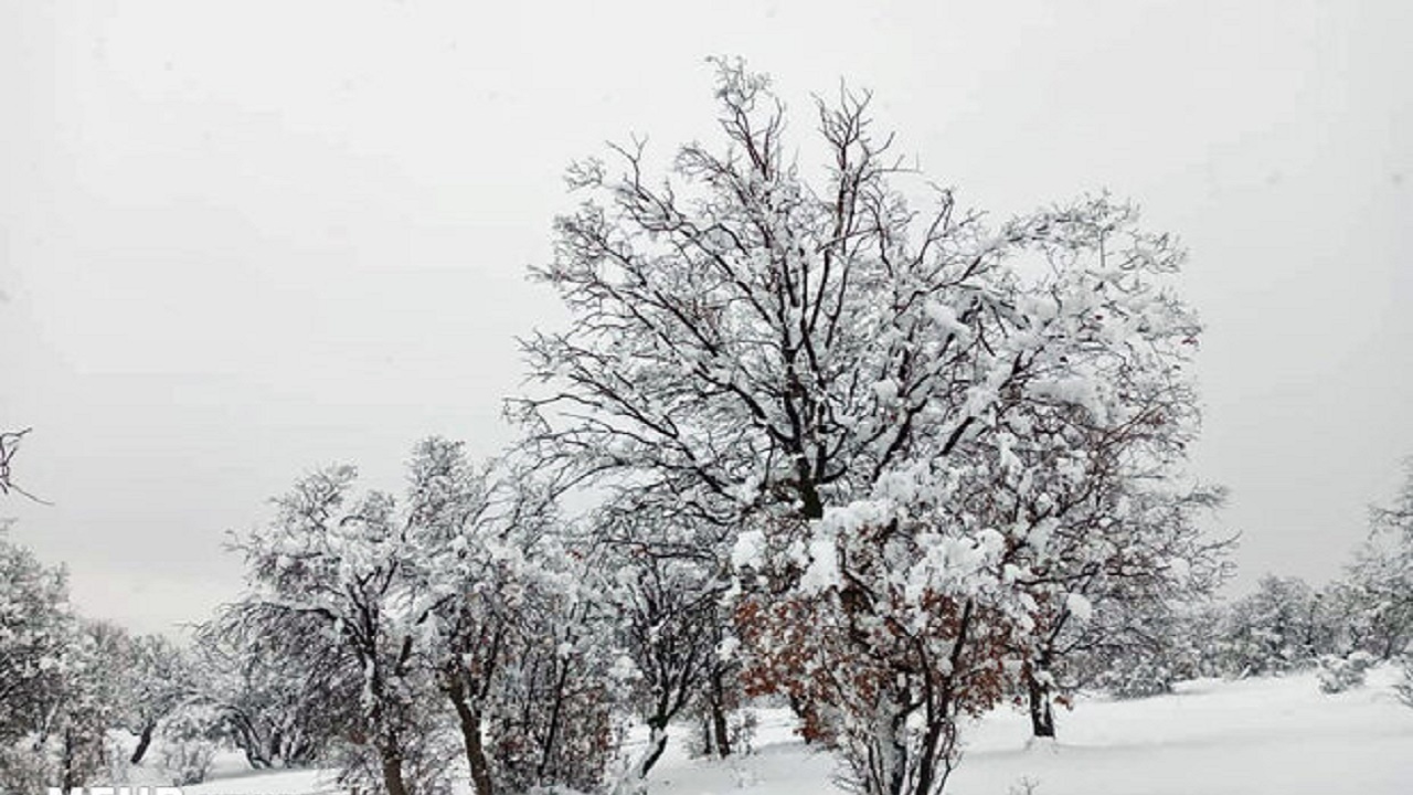سفید پوش شدن مناطق کوهستانی مازندران