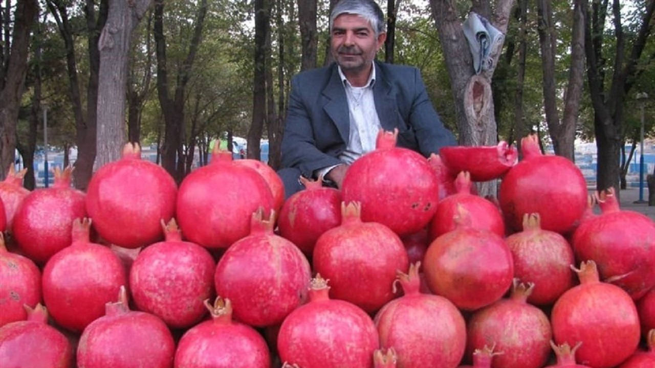 شهرضا، قطب تولید انار در استان اصفهان