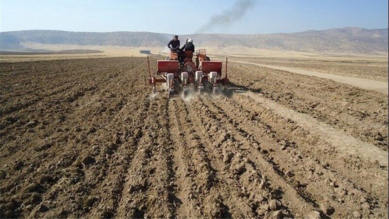 آغاز کشت و کار پاییزه گلخانه داران دارابی