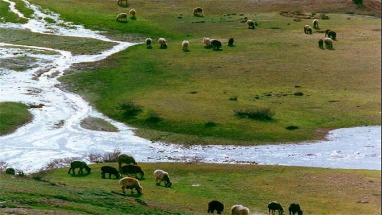 جلوی تخریب مراتع در استان اردبیل گرفته می‌شود