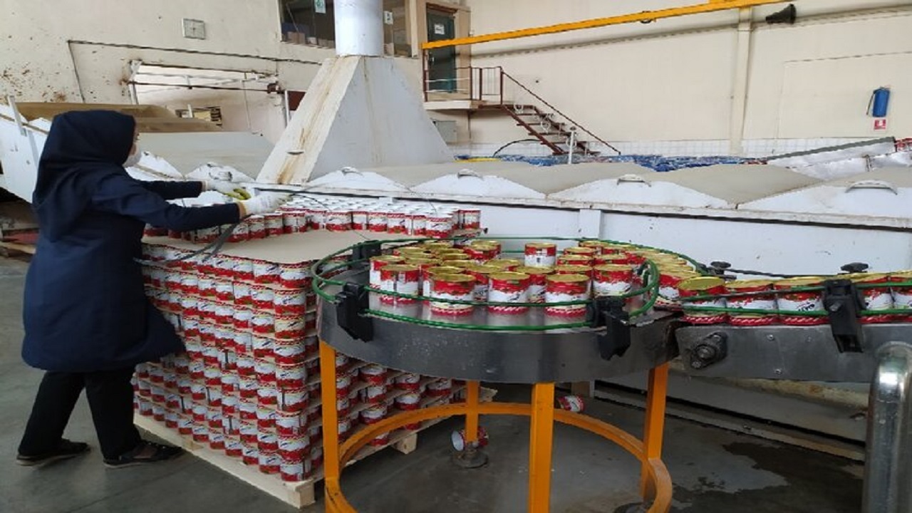 نبود کارخانه رب گوجهفرنگی در دشتی و سودی که به جیب دلالان میرود نبود کارخانه رب گوجهفرنگی در دشتی و سودی که به جیب دلالان میرود