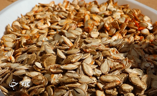 تخمه کدو