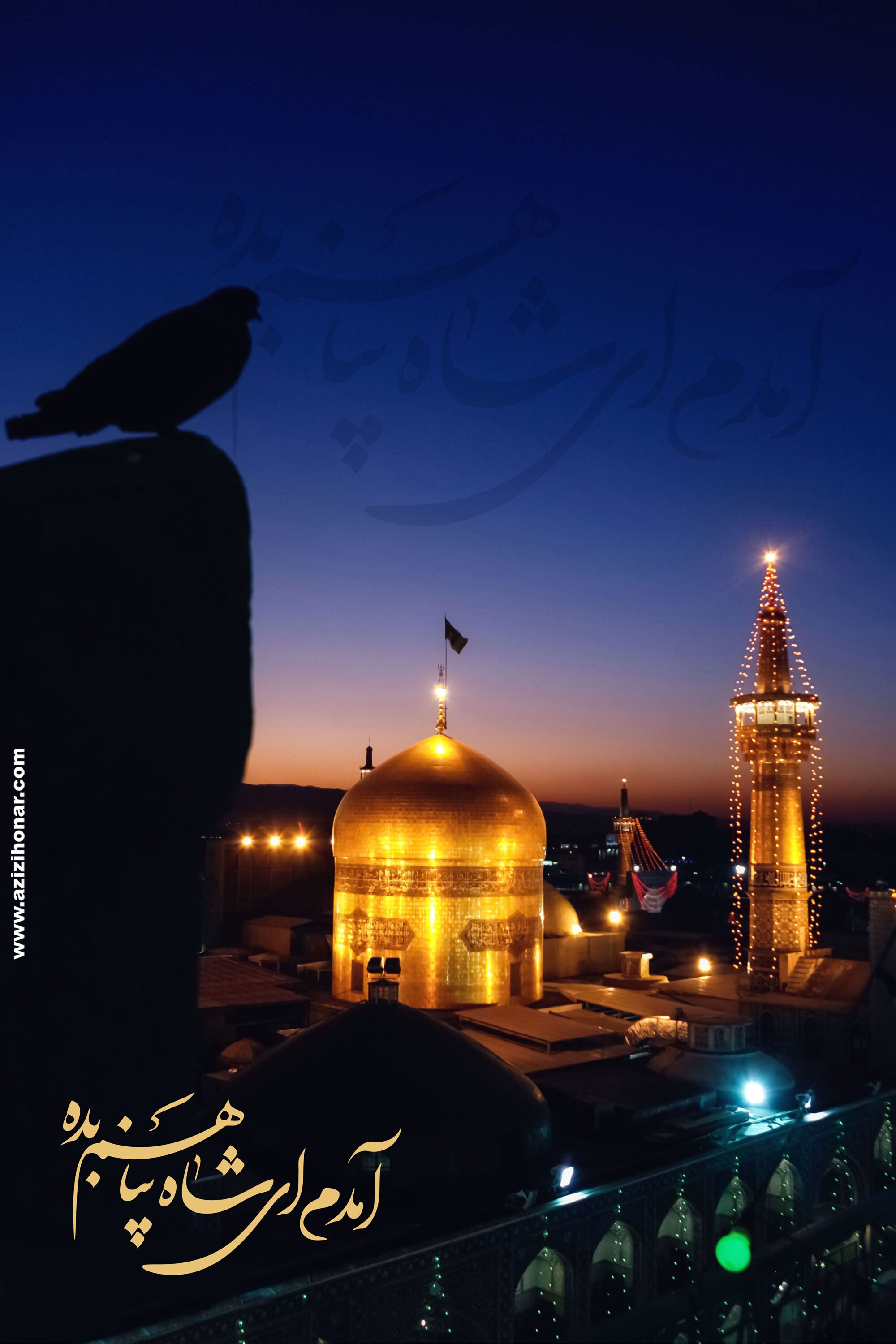 چهارشنبه&zwnj;های امام رضایی؛ دل&zwnj;هایی که زائر شمس الشموس است