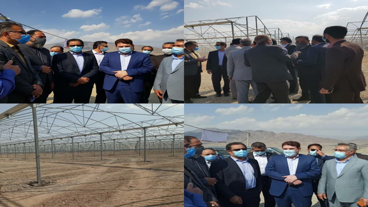 احداث یک واحد پرورش مرغ گوشتی در جیرفت