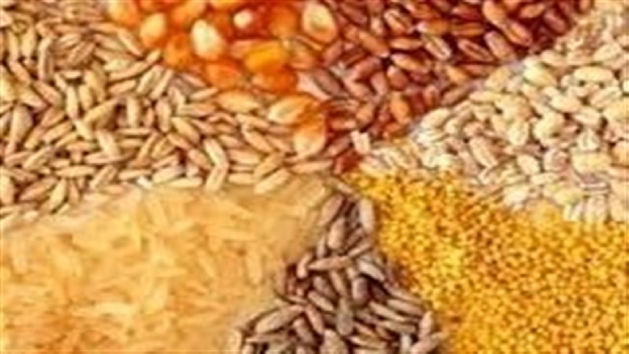 مصرف روزانه بیش از ۵۰۰۰ تن انواع نهاده‌های دامی در استان اصفهان