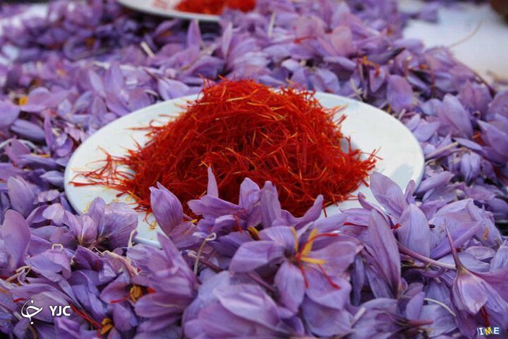 آیا مصرف زعفران عوارض نیز دارد؟///