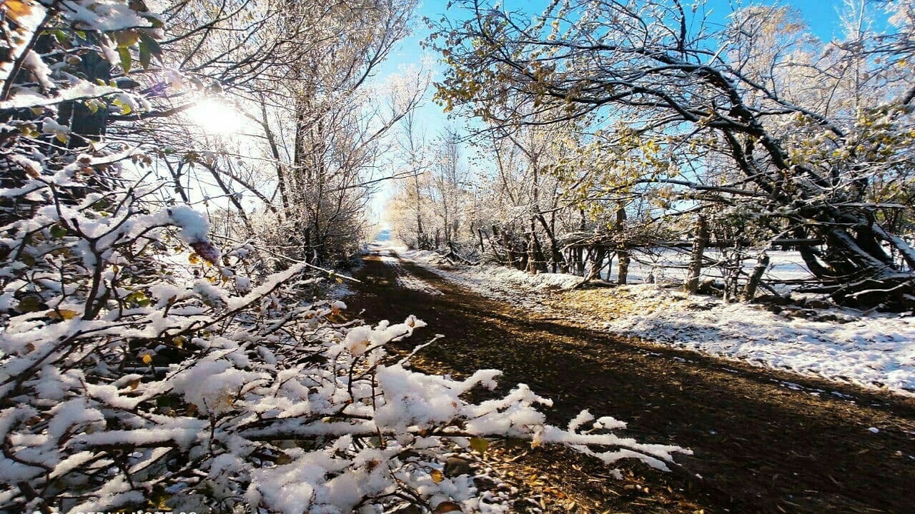 برف پاییزی، روستای مشتقین را سفیدپوش کرد + تصاویر