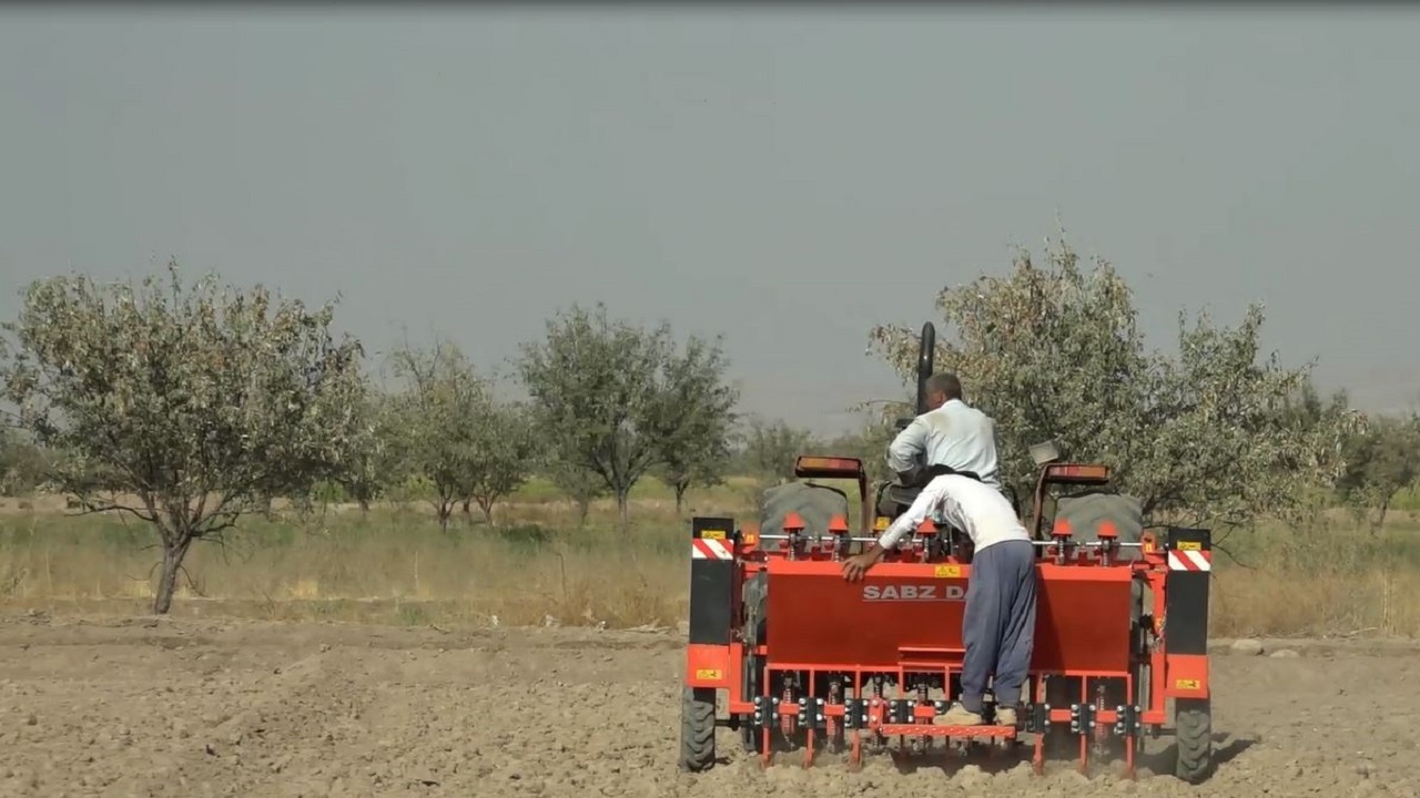کاشت مکانیزه سیر در شهرستان آذرشهر