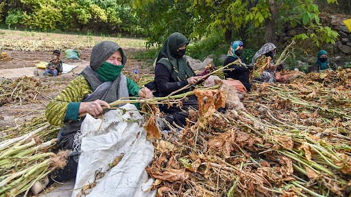 تیتر/ منتشر نشود
