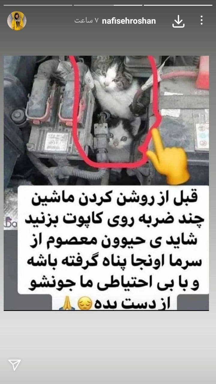 استوری روشن