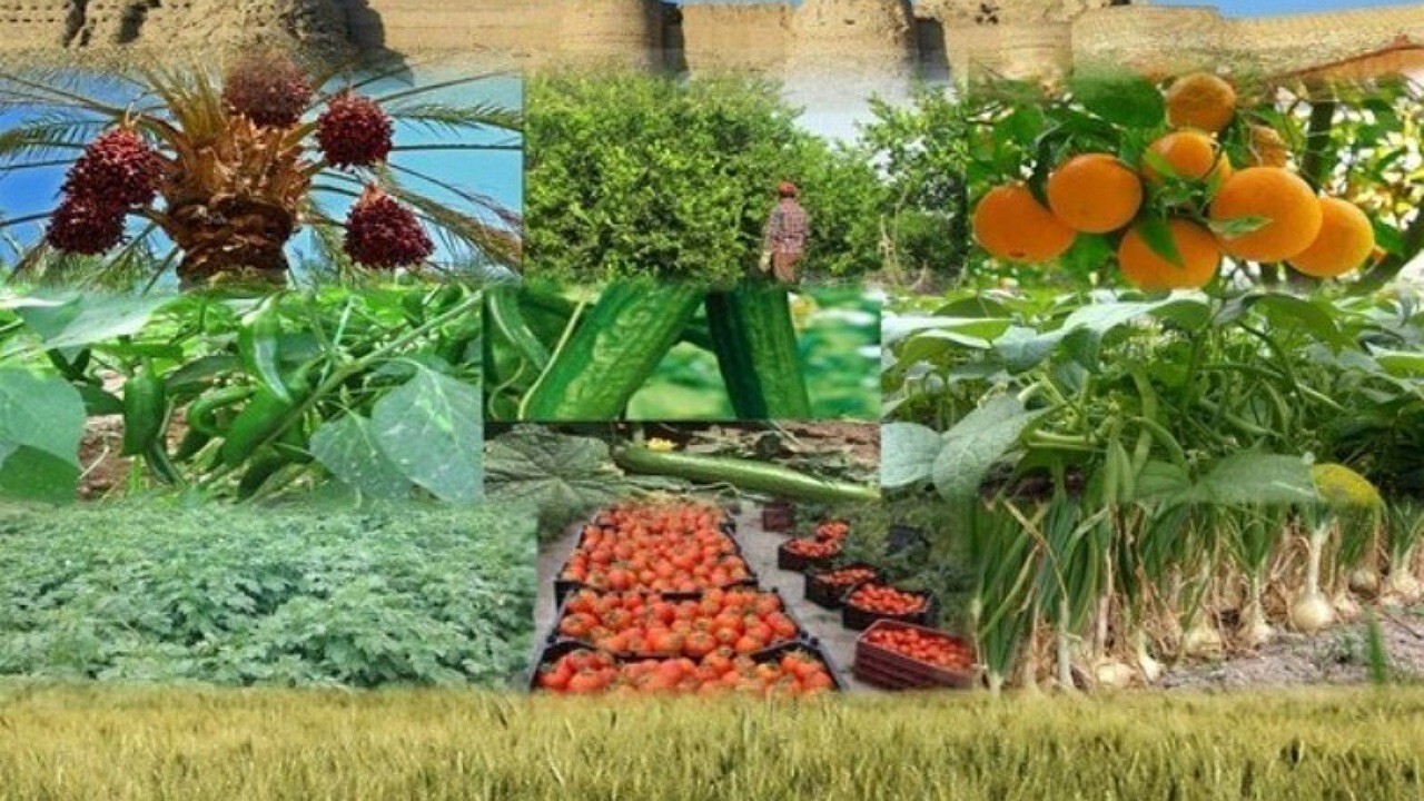 محصولات کشاورزی