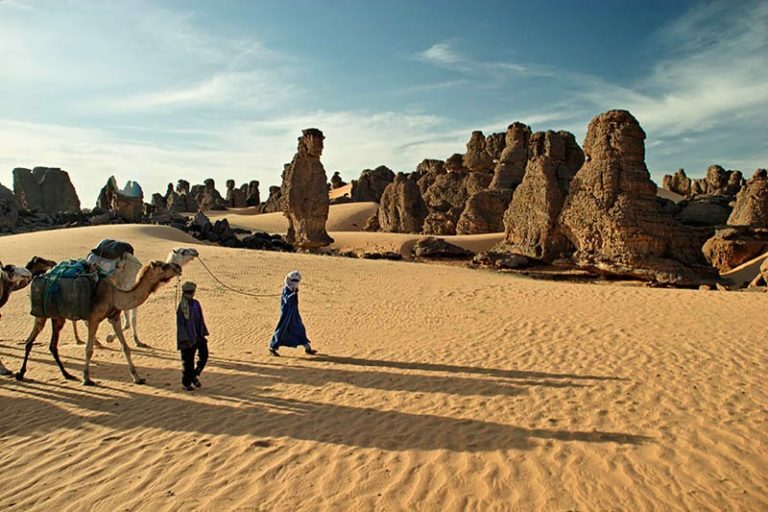 سیفار 