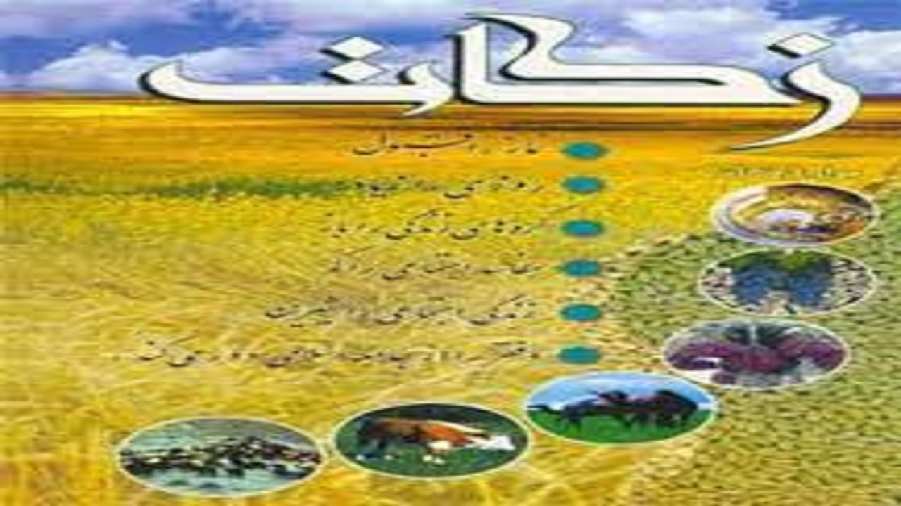جمع‌آوری ۶۳ میلیارد تومان زکات مستحبی و واجب در البرز