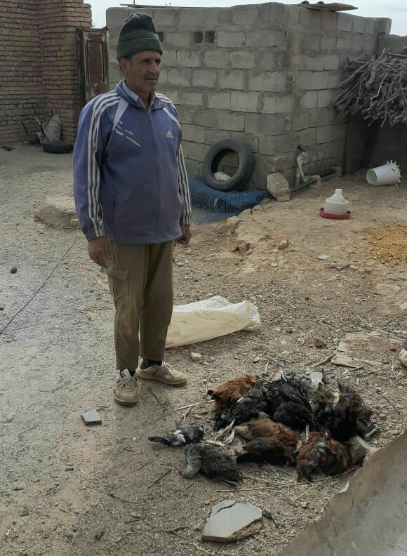 جزئیات شنیده نشده از نجات گربه وحشی به دست روستایی زیاندیده جزئیات شنیده نشده از نجات گربه وحشی به دست روستایی زیاندیده