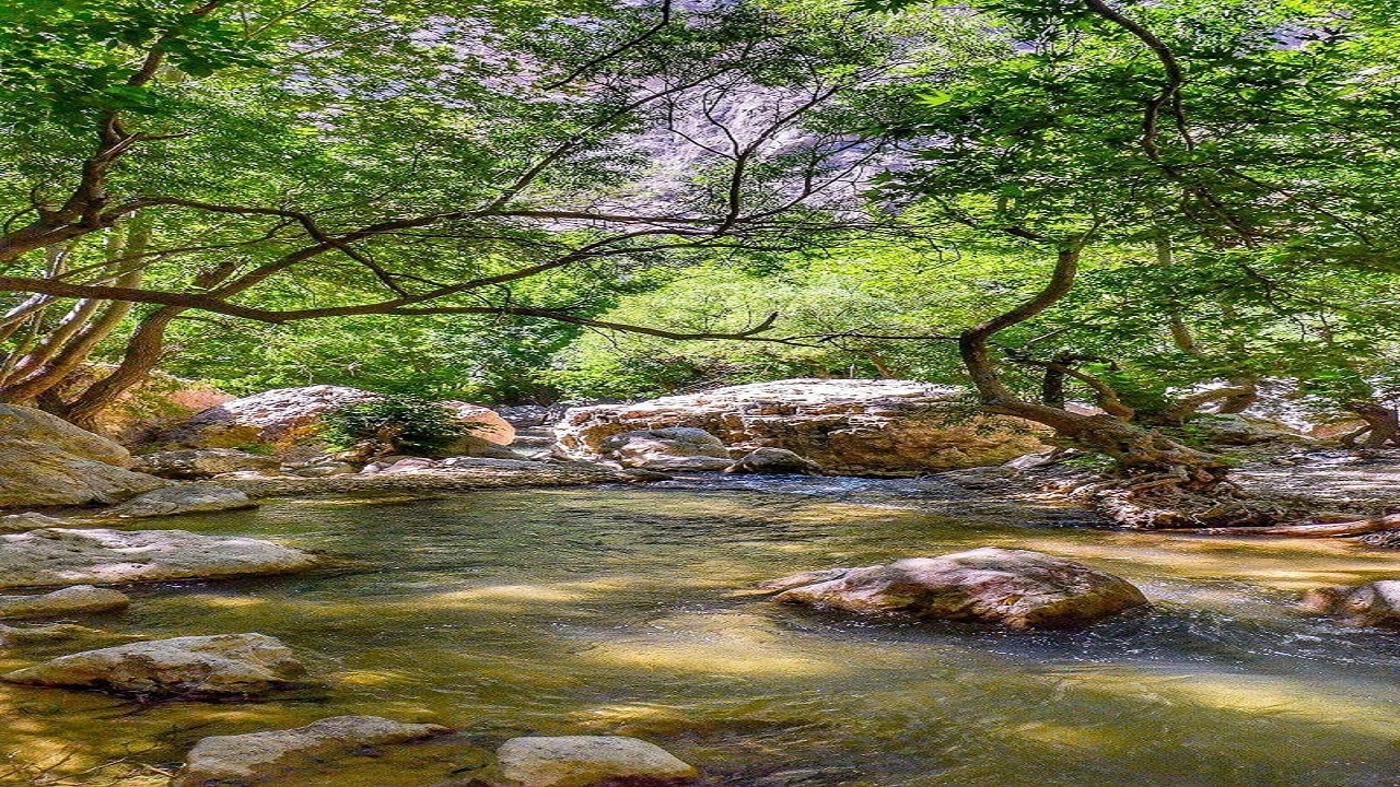 تنگ بستانک منطقه‌ای بکر برای گردشگران + تصاویر