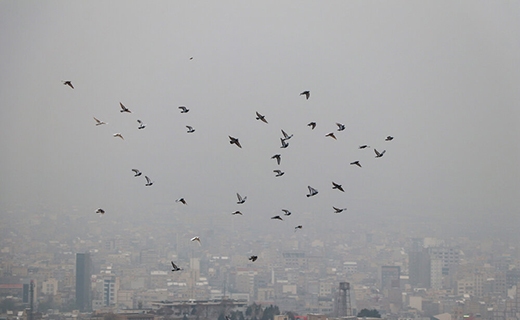 آلودگی هوا در تبریز