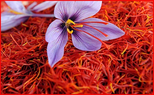 طلای سرخ بورسی می&zwnj;شود