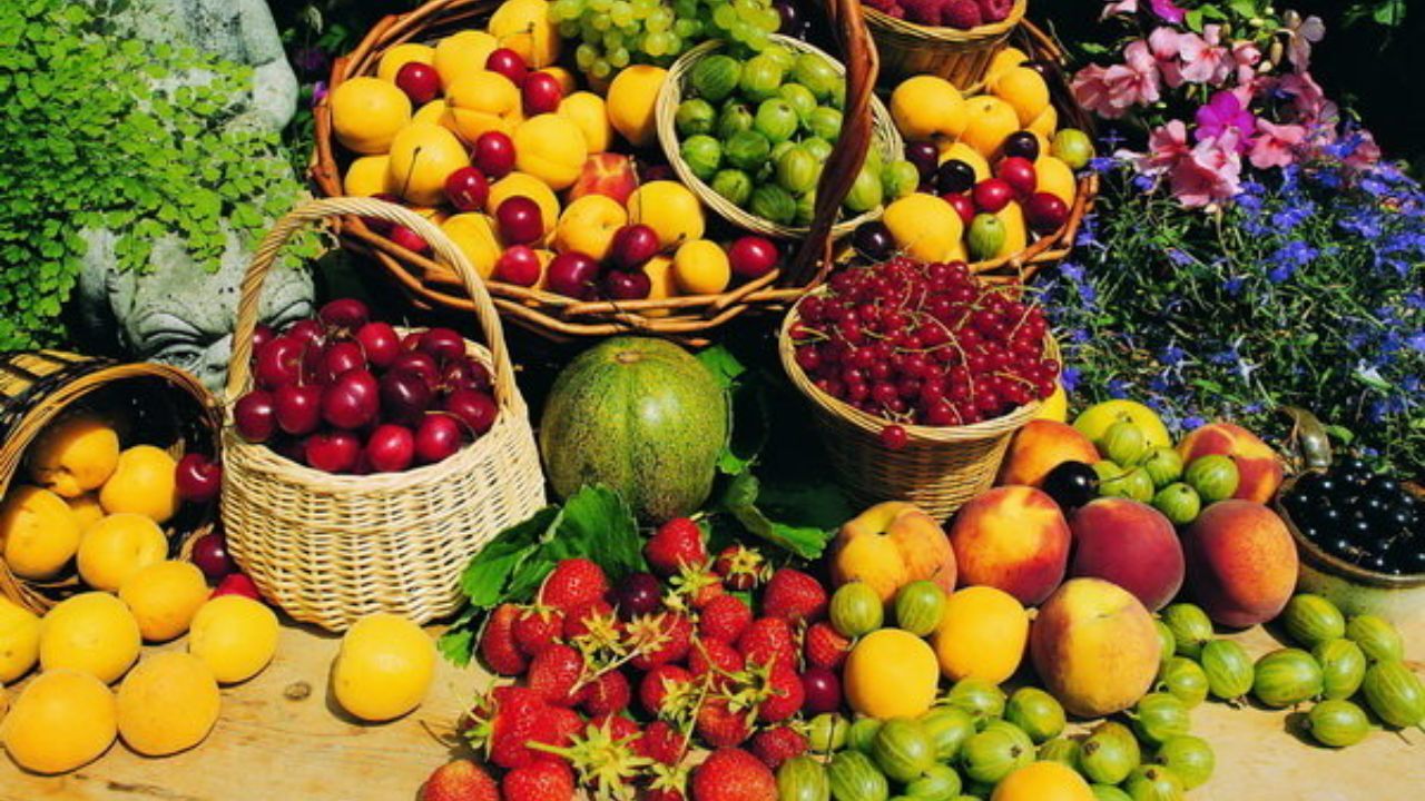 خشکسالی و سرمازدگی میزان تولید محصولات باغی زنجان را کاهش داد