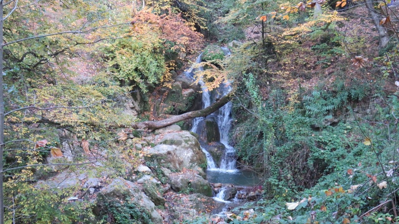 منظریه&zwnj;ای از طبیعت پاییزی روستای مرزبن سید + تصاویر