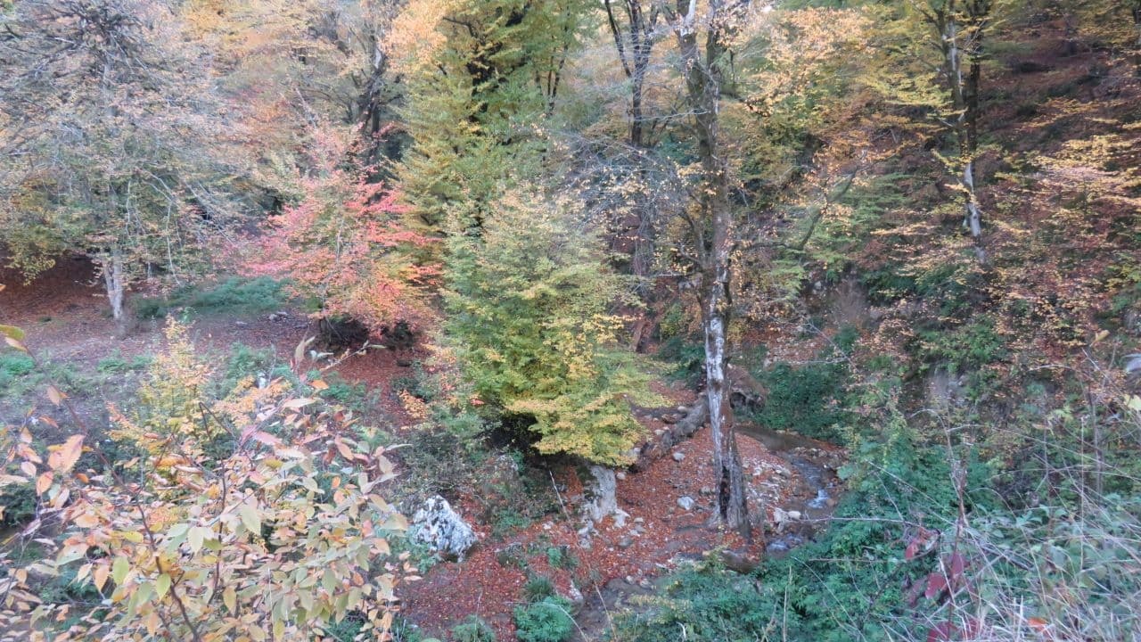 منظریه&zwnj;ای از طبیعت پاییزی روستای مرزبن سید + تصاویر