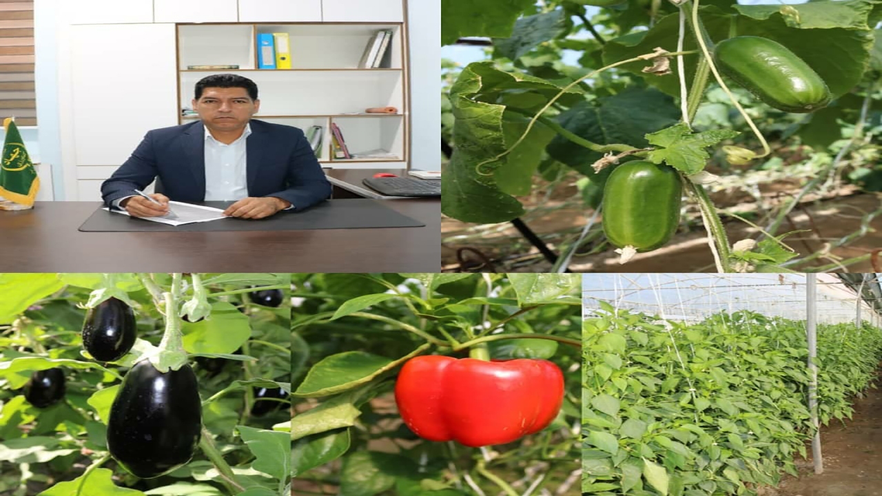 صادارت محصولات کشاورزی جنوب کرمان به کشورهای مختلف