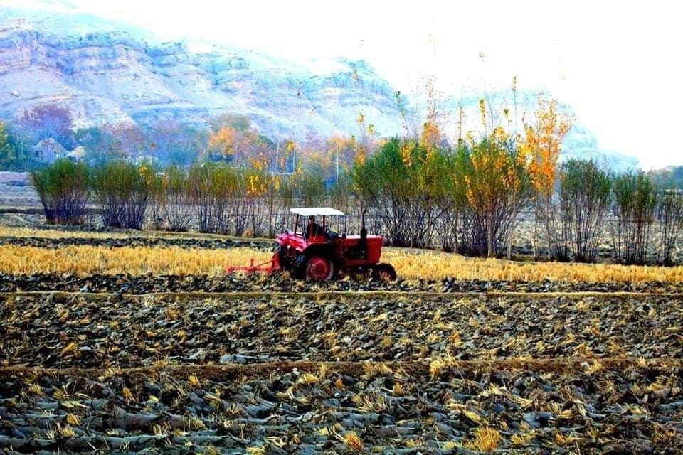 شهر پلخمری 