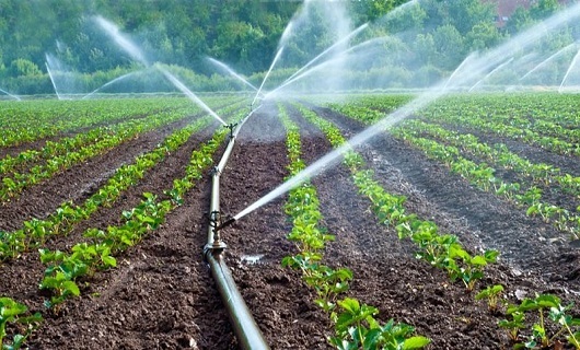 عبور از بحران خشکسالی با اجرای آبیاری نوین