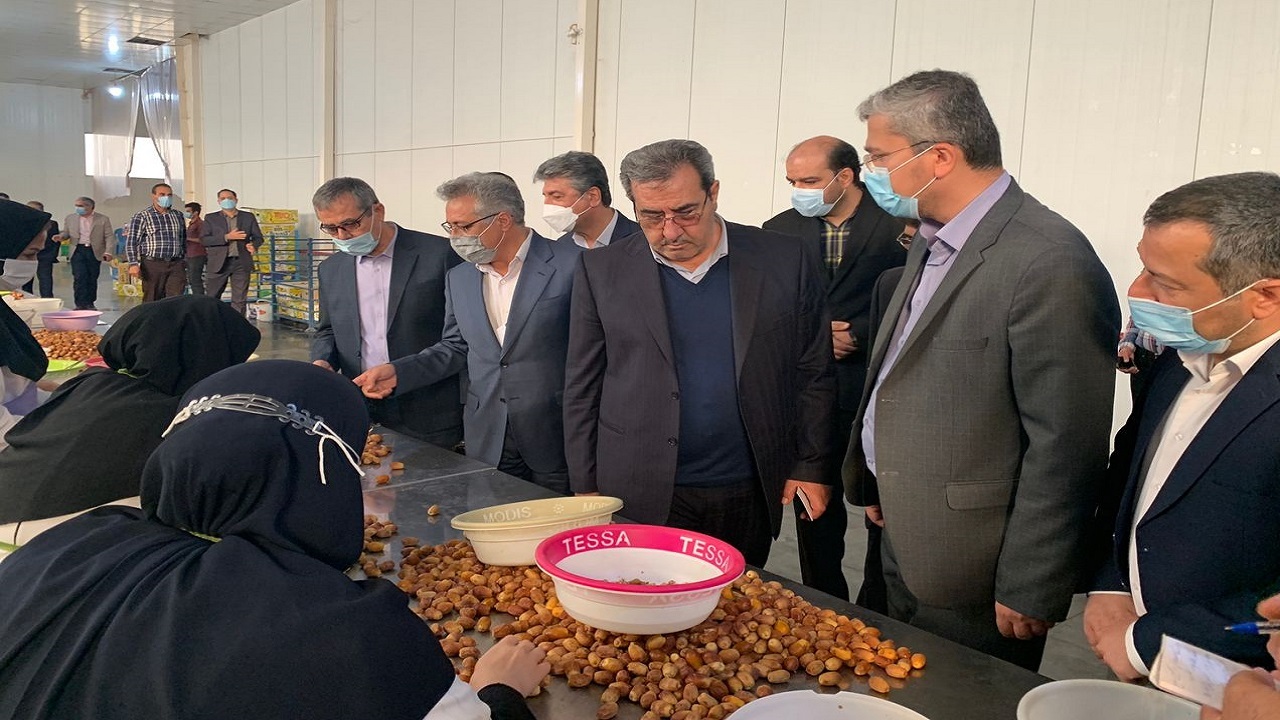 دولتی&zwnj;ها و مجلسی&zwnj;ها در دشتستان بر سر میز ملی خرما نشستند