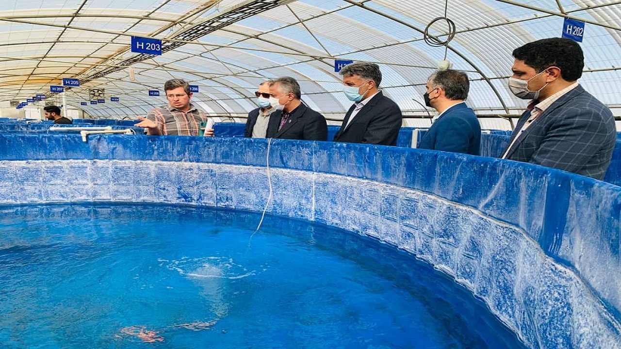 راه اندازی پارک ملی علم و فناوری آبزیان در بافق