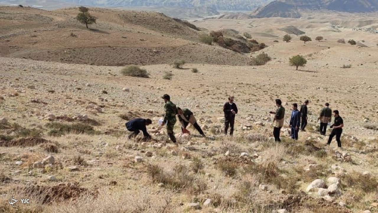 پویش مردمی بذر کاری به منظور احیای جنگل‌های زاگرس راه اندازی شد