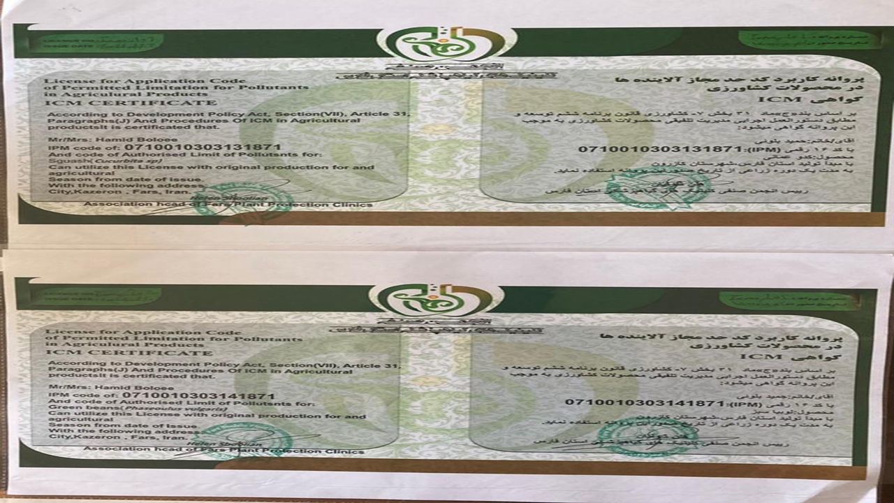 گواهی محصول سالم لوبیا سبز و کدو عمانی در کازرون گواهی محصول سالم لوبیا سبز و کدو عمانی در کازرون