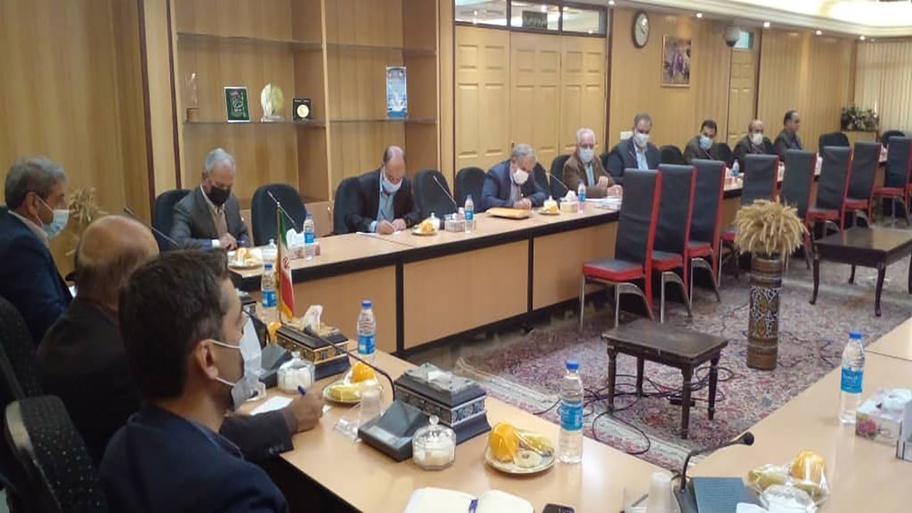 تولید مرغ در کشور افزایش می یابد