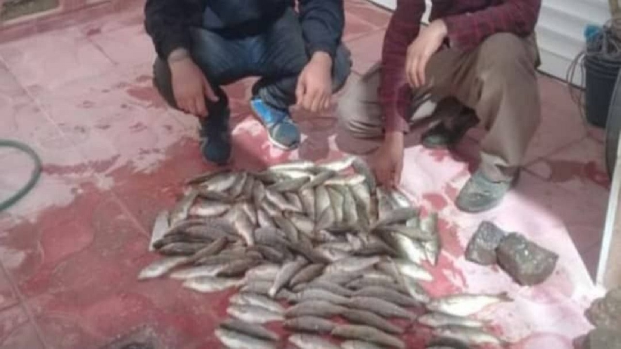 شکارچی دهگلانی با انتشار شکارش در فضای مجازی به دام افتاد
