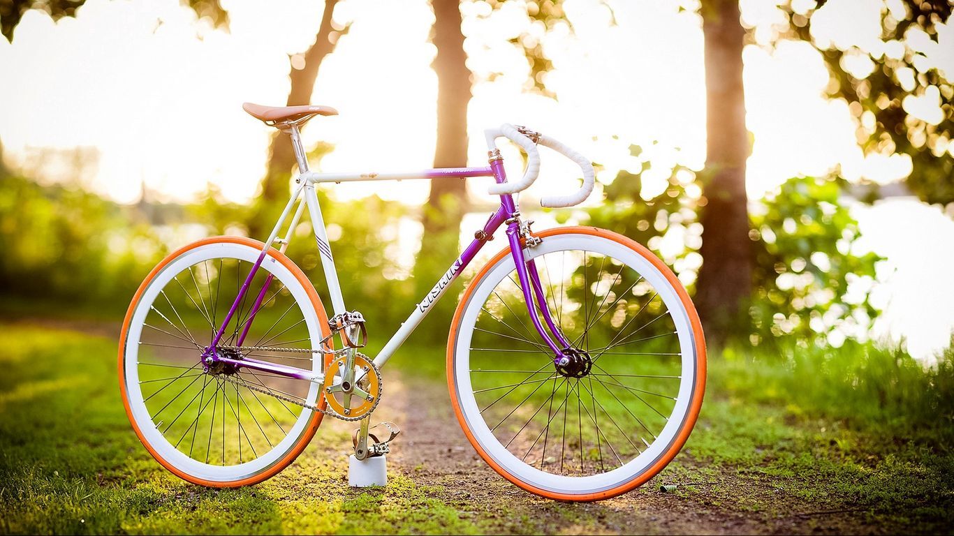 دوچرخه