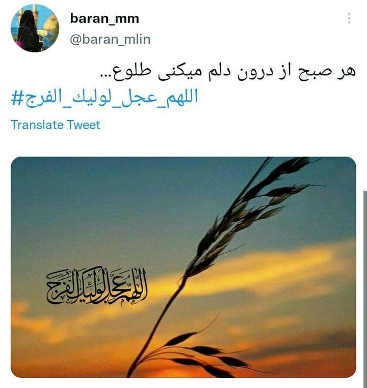 توییت کاربران