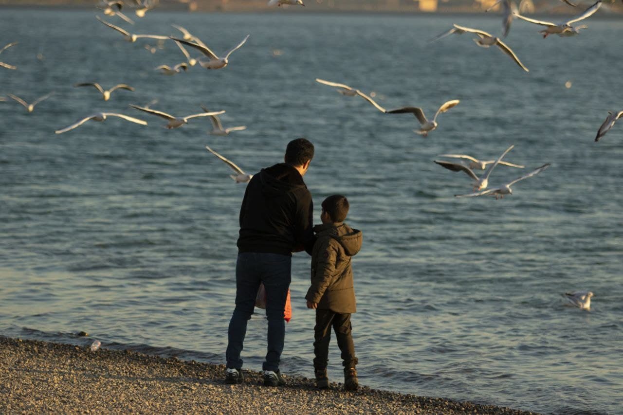 شناسایی ۱۱۴ گونه پرنده مهاجر در دریاچه شهدای خلیج فارس