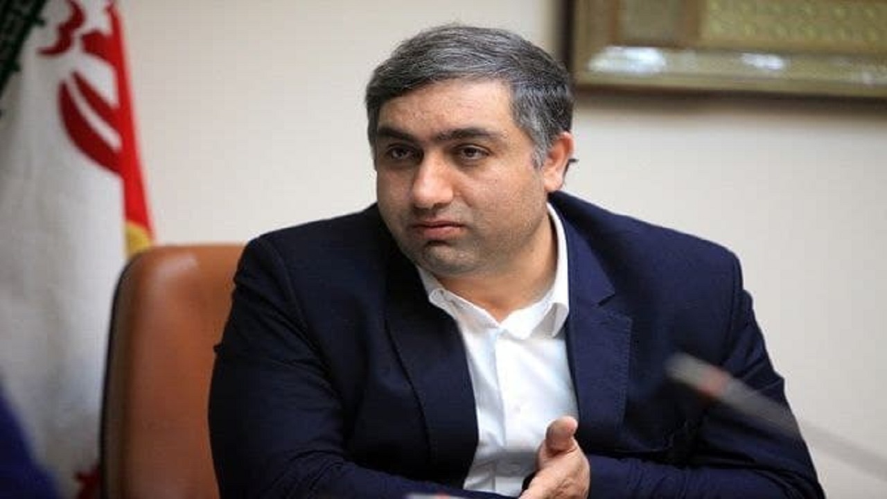مدیرعامل توانیر منصوب شد