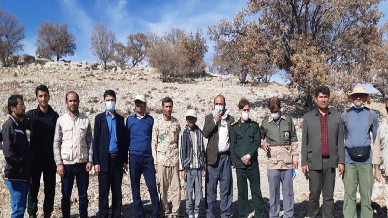 کاشت بذر بلوط در مراتع کوه سیاه لنده آغاز شد