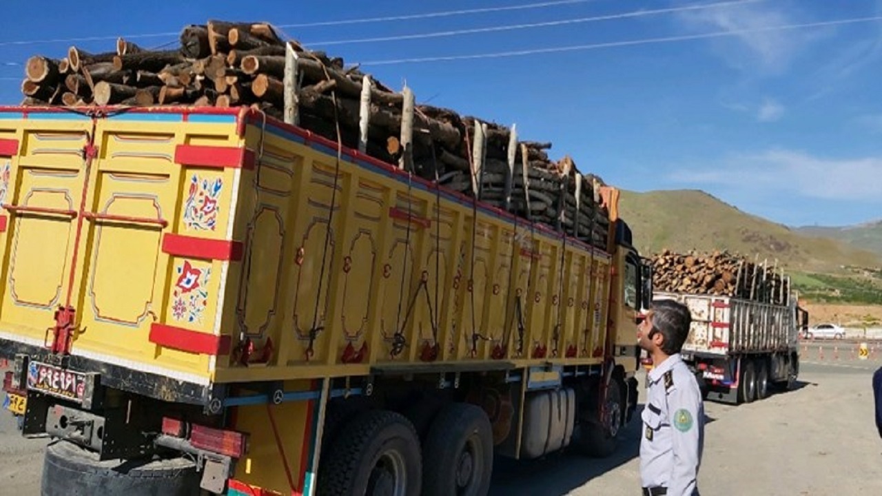 کشف ۲۲ تن چوب قاچاق در ملایر