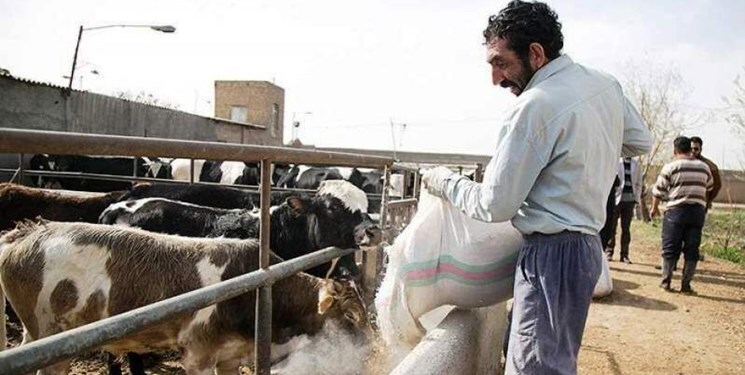  نهاده&zwnj; دامی