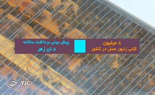 سالانه هشت تُن زهر به دست می آید