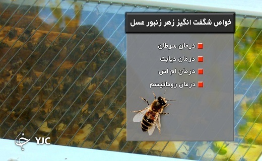 زهر زنبور عسل فواید زیادی دارد